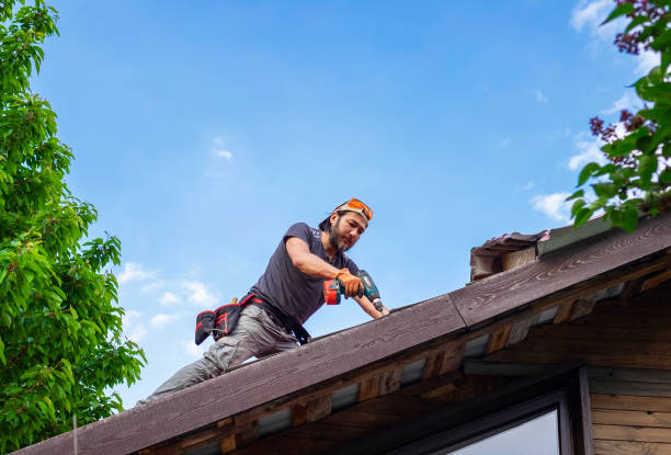 Best Storm Damage Roof Repair  in Orangeville, UT